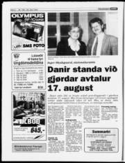 Síða 8
