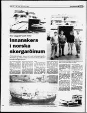 Síða 12