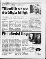 Síða 13