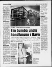 Síða 3