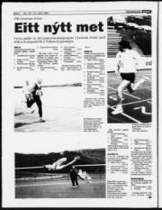 Síða 6