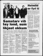 Síða 3