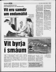 Síða 7