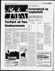 Síða 8