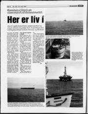Síða 8