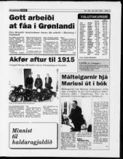 Síða 13
