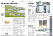 Síða 2