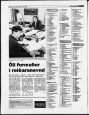 Síða 22