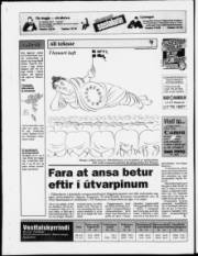 Síða 20