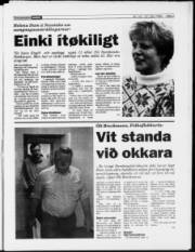 Síða 3