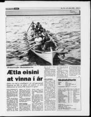 Síða 11