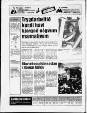 Síða 20