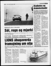 Síða 6