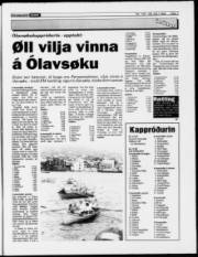 Síða 7