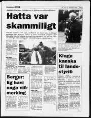 Síða 3