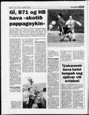 Síða 12