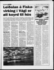 Síða 13