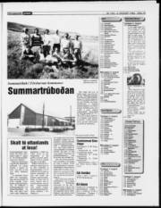 Síða 19