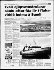 Síða 4