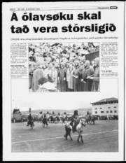 Síða 6