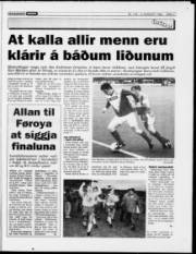 Síða 11