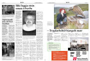 Síða 12