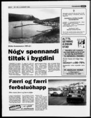 Síða 6