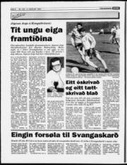 Síða 8
