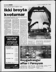 Síða 3