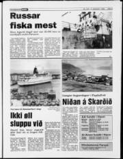 Síða 5