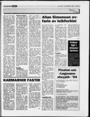Síða 13