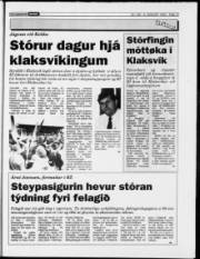 Síða 15