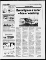 Síða 17