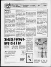 Síða 2