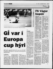 Síða 9