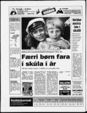 Síða 20