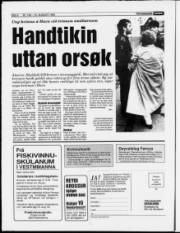 Síða 6