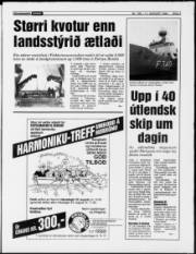 Síða 3