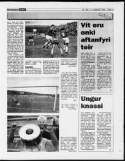 Síða 11