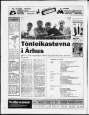 Síða 20