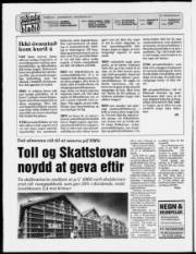 Síða 2