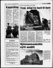 Síða 4
