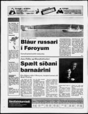 Síða 20