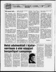 Síða 2