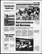 Síða 6