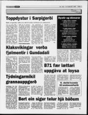 Síða 11