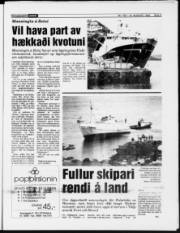 Síða 3