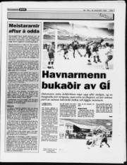 Síða 7