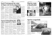 Síða 3
