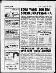 Síða 13